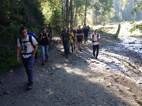 zloty lisc 2016 (25)